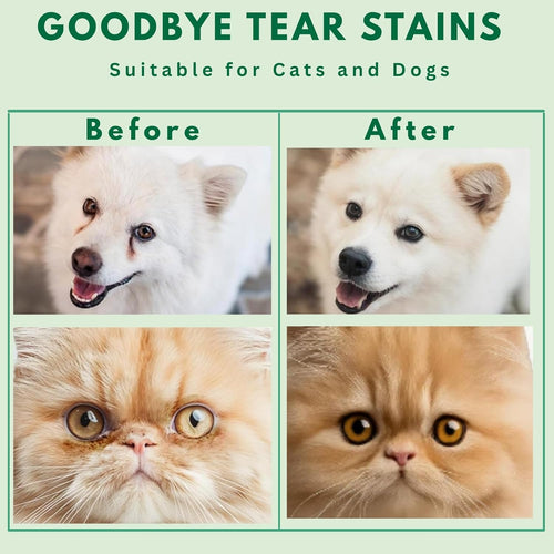 Pet Eye Wipes – 200 Cat & Dog Eye Wipes | Tear Stain Remover for Dogs Eyes | Disposable Pet Eyes Cleaning Pads to Remove Crust & Discharge | Perfect for Pets Daily Grooming Care